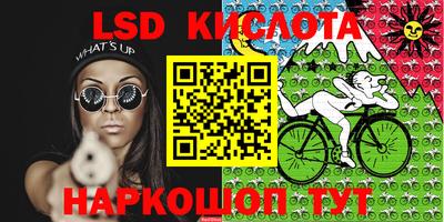 прущие крисы Кулебаки