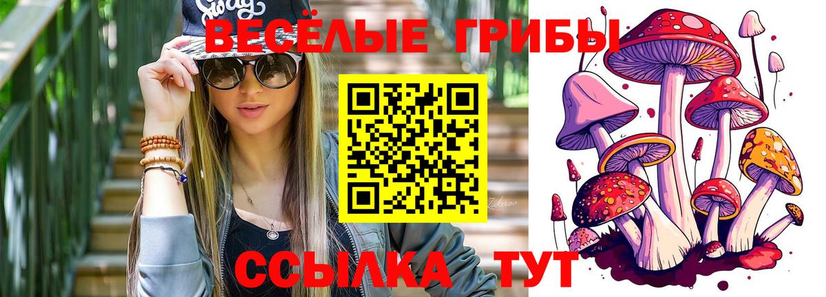 Зерноград  Галлюциногенные грибы ЛСД  Псилоцибиновые грибы Psilocybe  Вход с VPN 